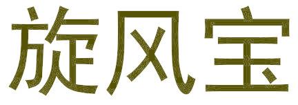 旋風(fēng)寶