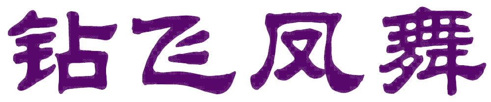 钻飞凤舞