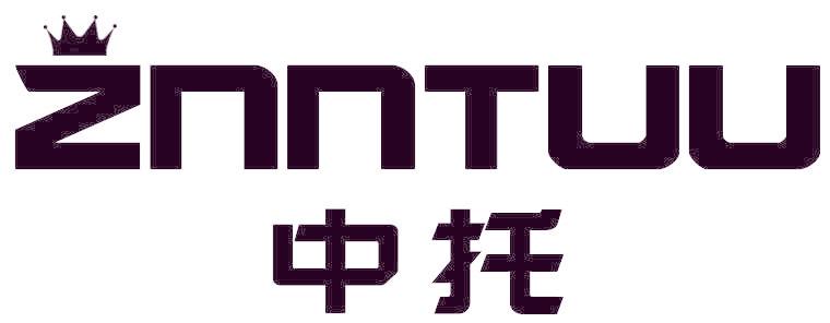 中托 ZNNTUU