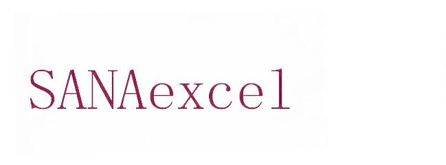 SANAEXCEL