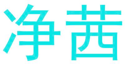 净茜