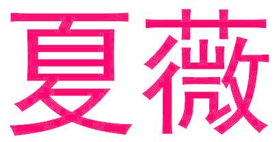 夏薇