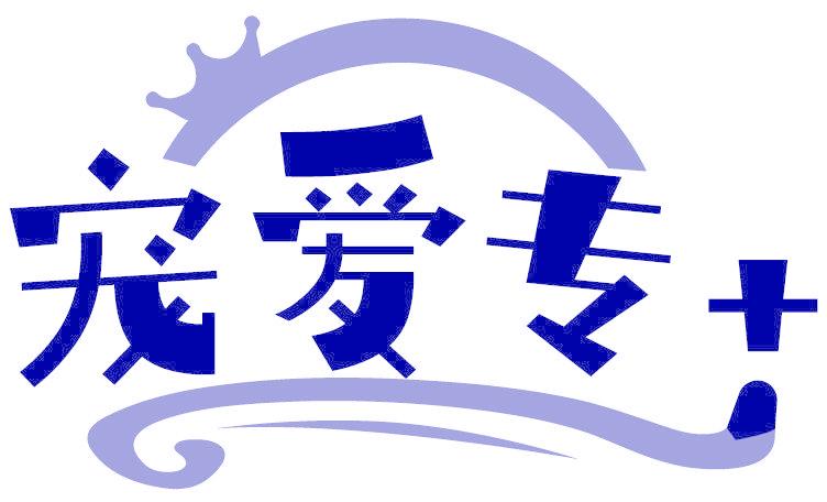 宠爱专+