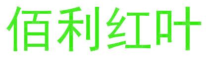佰利红叶
