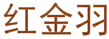红金羽