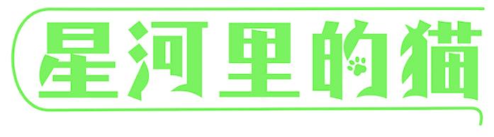 星河里的猫