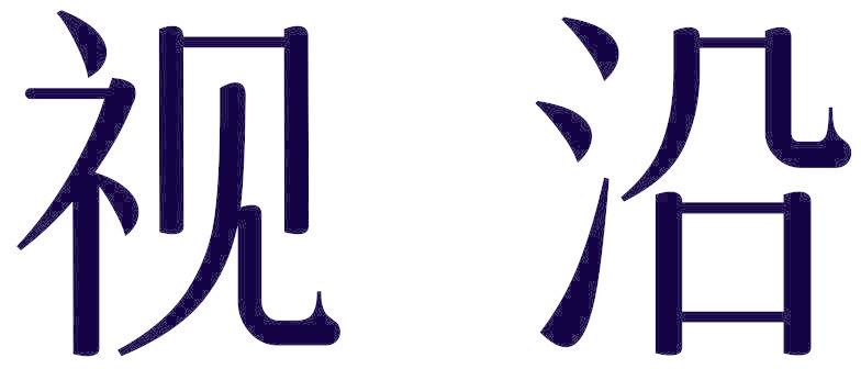 视沿