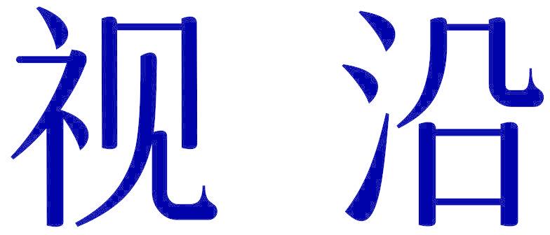 视沿