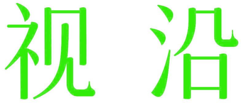 视沿