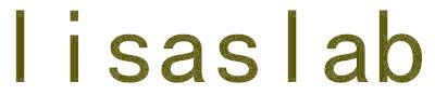 LISASLAB