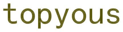 TOPYOUS