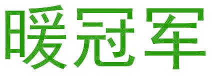 暖冠军
