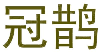 冠鹊
