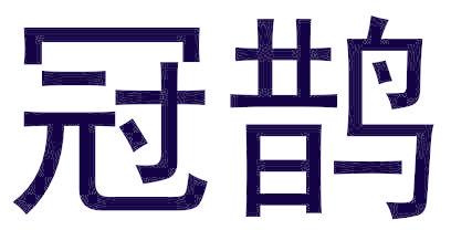 冠鹊