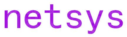 NETSYS