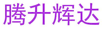 腾升辉达