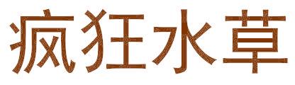 瘋狂水草
