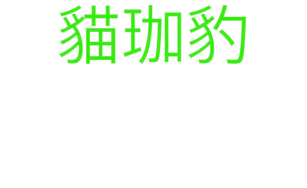 猫珈豹