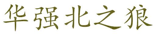 华强北之狼