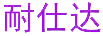耐仕达