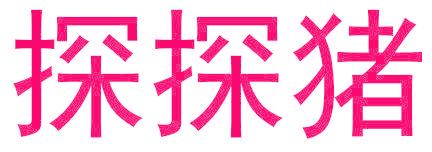 探探猪