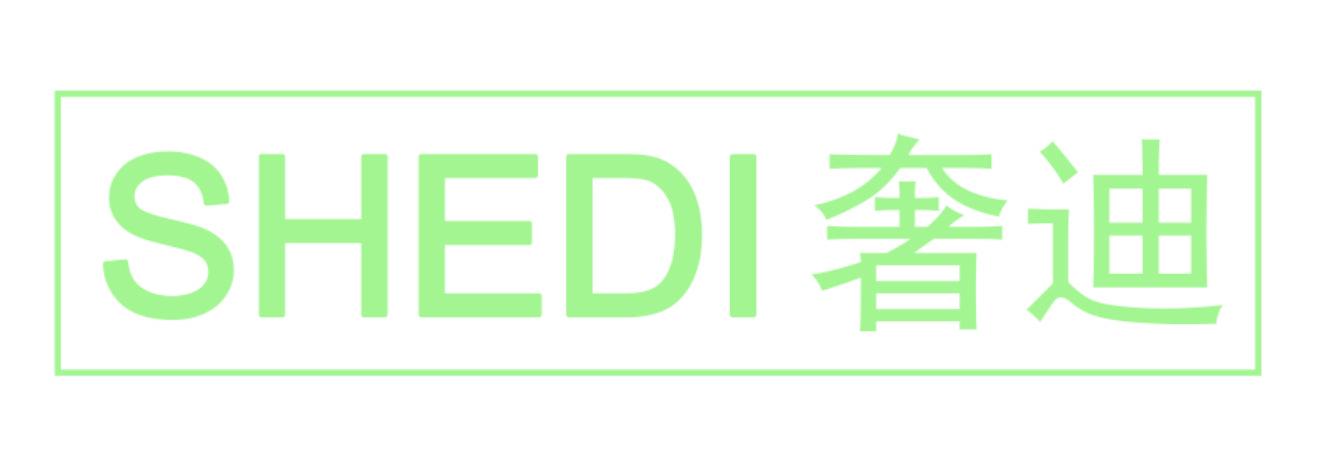 奢迪