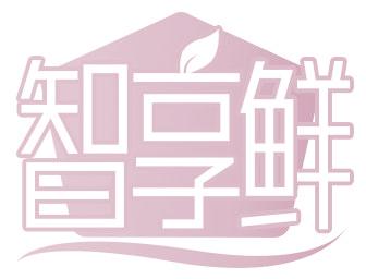 智享鲜
