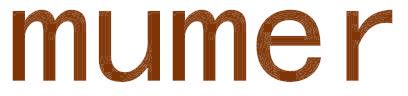 MUMER
