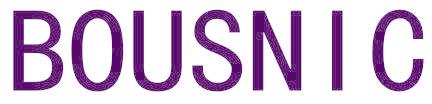 BOUSNIC