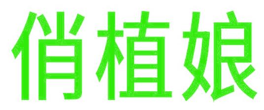 俏植娘