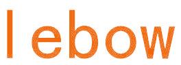 LEBOW