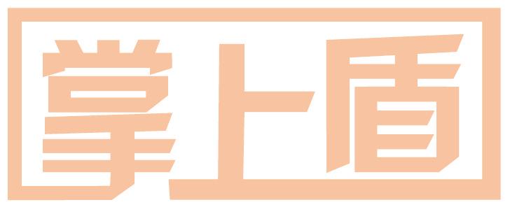 掌上盾