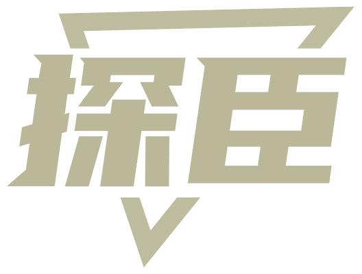 探臣