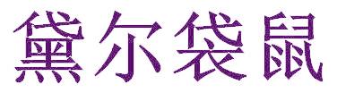 黛尔袋鼠