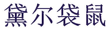 黛尔袋鼠