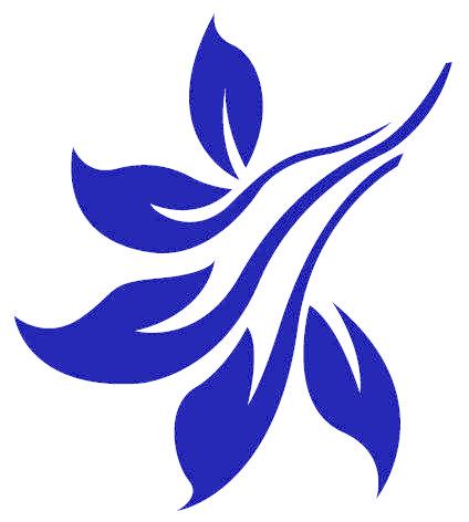 图形