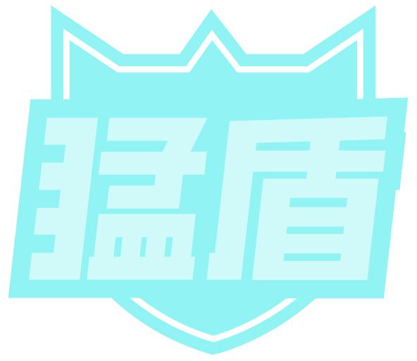 猛盾