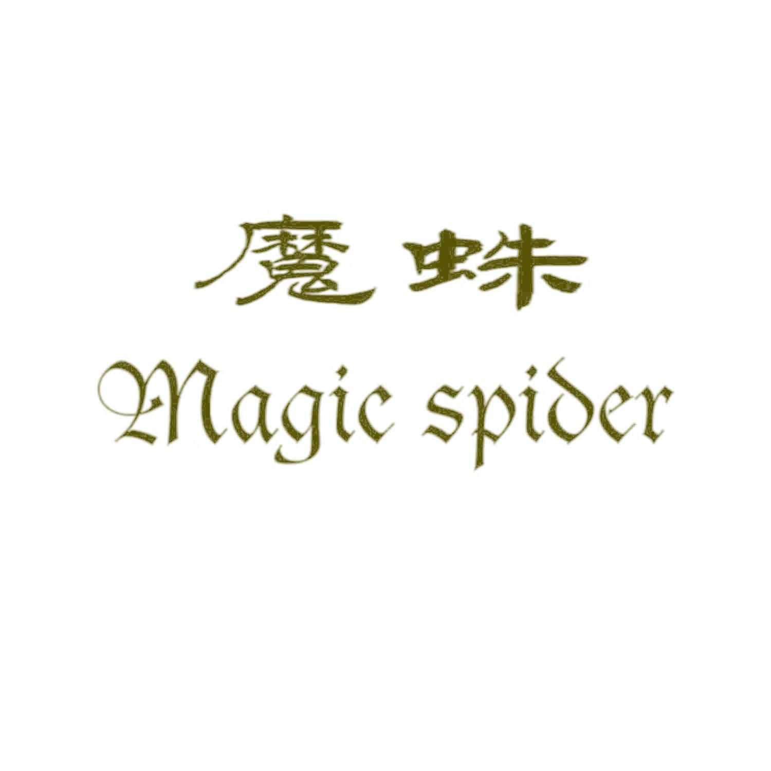 魔蛛 MAGIC SPIDER