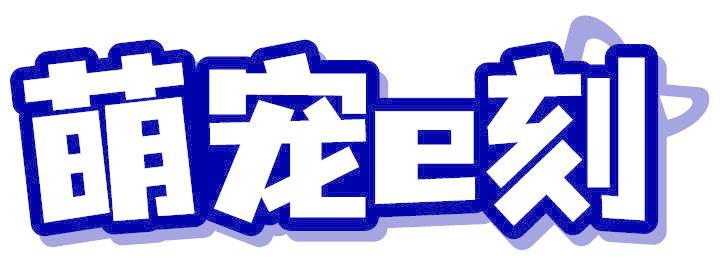 萌宠E刻