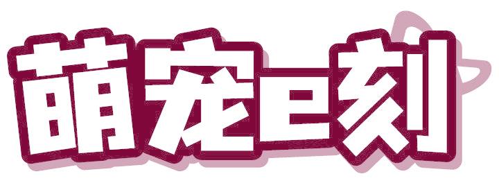 萌宠E刻