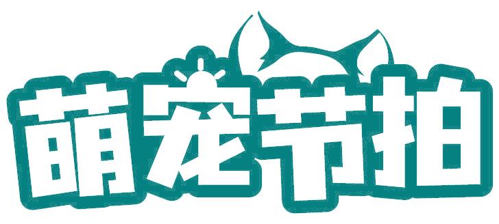 萌宠节拍