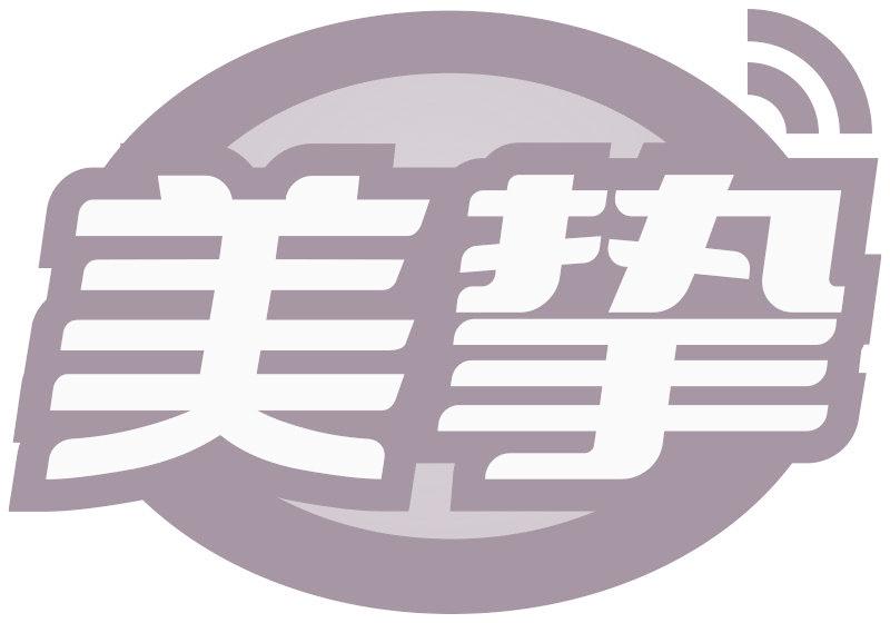 美挚