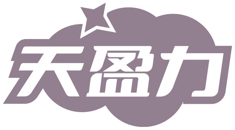 天盈力