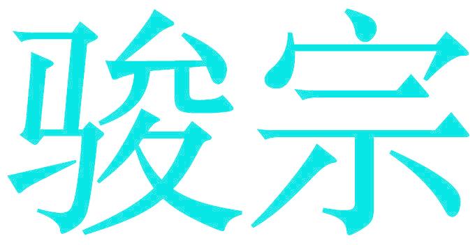 骏宗