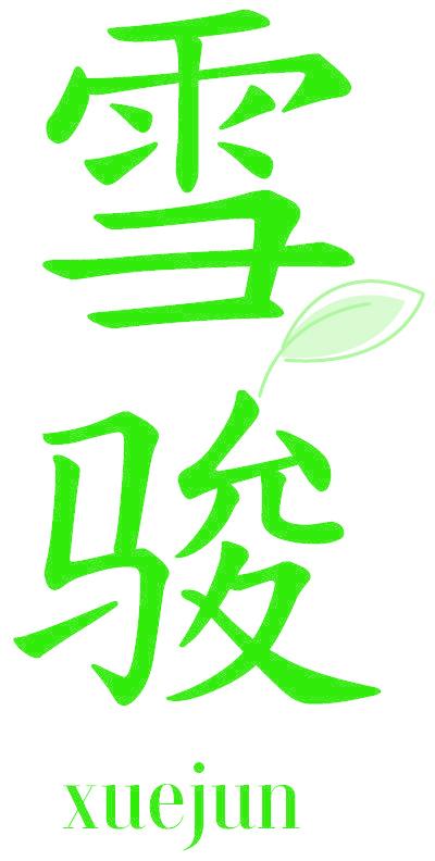 雪骏