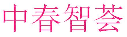 中春智荟