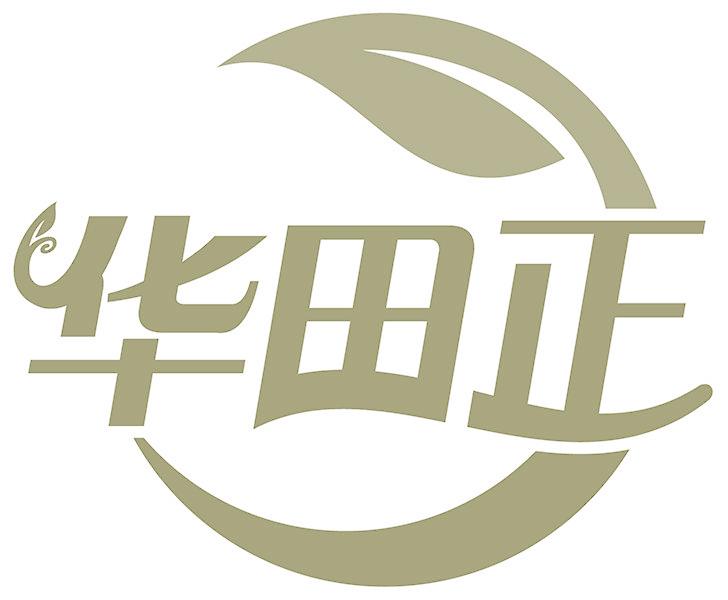华田正
