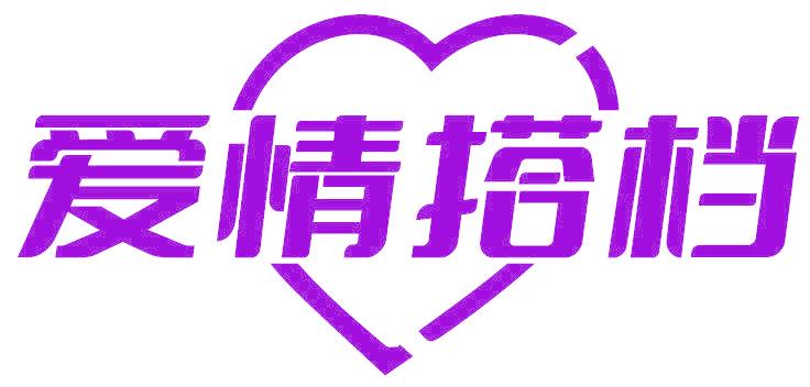 爱情搭档