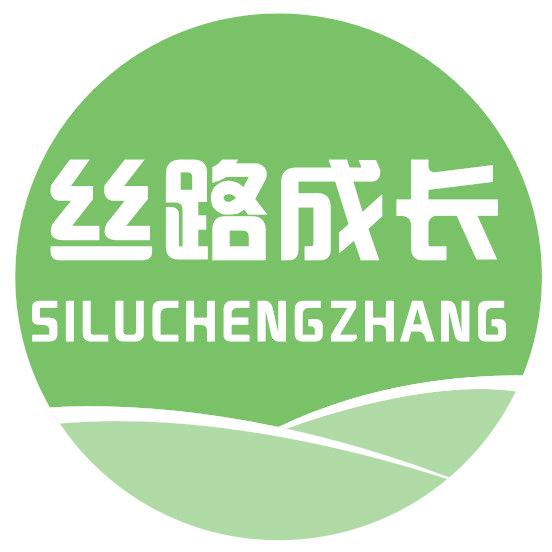 丝路成长