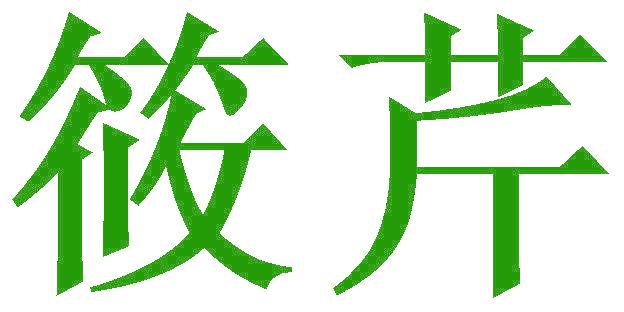 筱芹